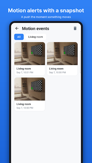 Home Security Cam - SpareCCTV Screenshot 2