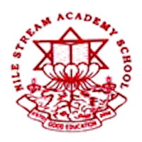 Nile Stream Academy