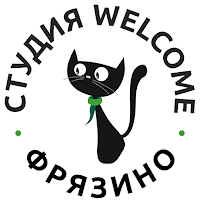 Студия Welcome Фрязино