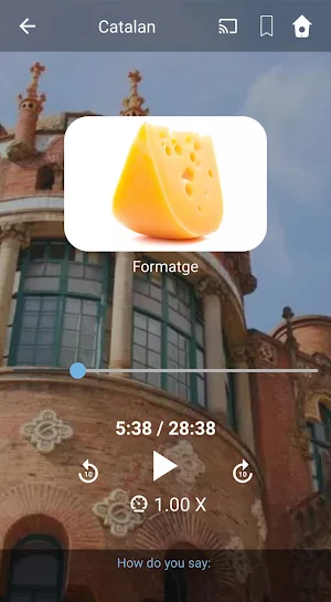 Learn Catalan. Speak Catalan. Study Catalan. Screenshot 1