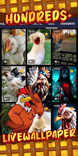 Chicken Wallpaper: HD & Live Screenshot 2