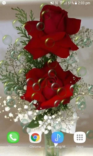 Red Roses Bubble LWP Screenshot 1