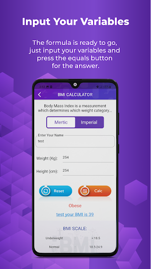BMI & BMR Calculator Screenshot 2