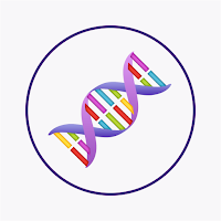 Genetics Quiz