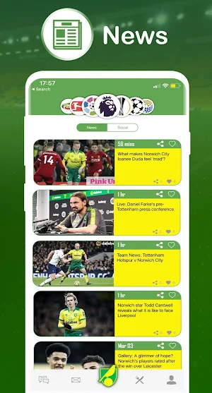 Norwich City Fanzine Screenshot 2