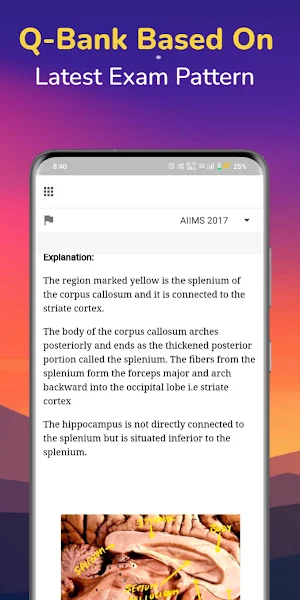 Medicinoz - NEET PG/MBBS/BHMS Screenshot 3