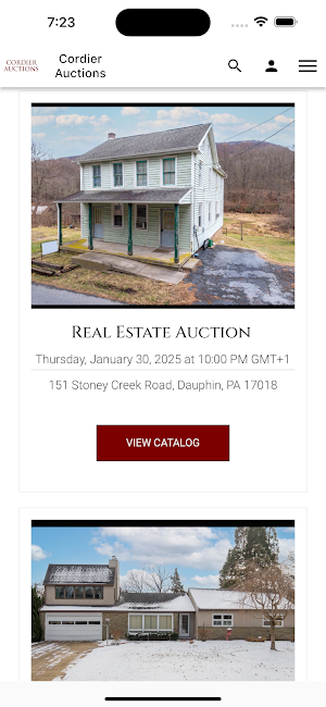 Cordier Auctions Screenshot 3