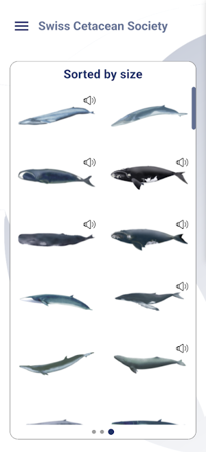 SCS - swiss cetacean society Screenshot 3