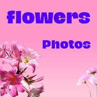 Flower Photos