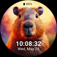 capybara cute_001