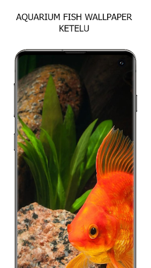 Aquarium Fish Wallpaper Screenshot 0