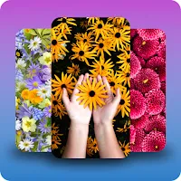 Flowers wallpaper background