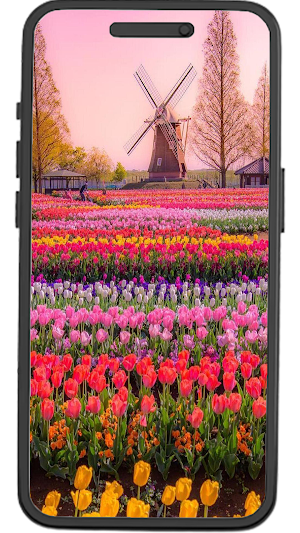 Netherlands Wallpapers Screenshot 3