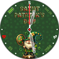 BFF42 - St. Patrick day Gnomes