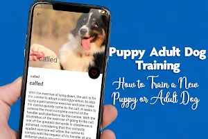 Puppy Adult Dog Training Screenshot 1
