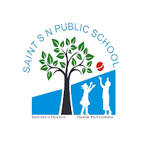 Saint SN Public School