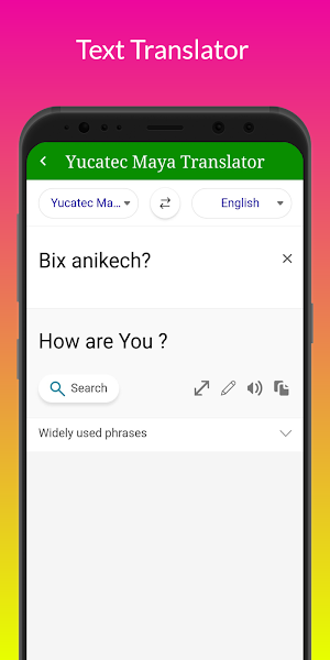 Yucatec Maya Translator Screenshot 2