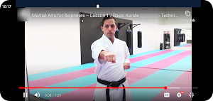 Learn Karate Screenshot 1