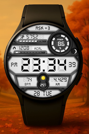 Altas Digital Watch Face Screenshot 1
