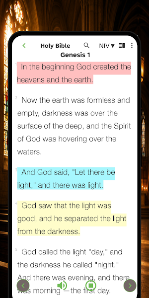 NIV Bible - Offline app Screenshot 1