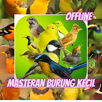 Suara Masteran Burung Kecil