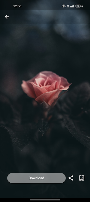 Dark Wallpapers Screenshot 2