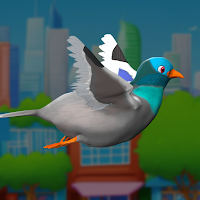 You're a Pigeon