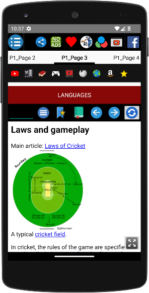 Cricket - History Screenshot 2