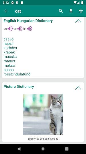Hungarian English Dictionary Screenshot 1