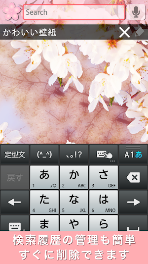sakura Search Widget Screenshot 2