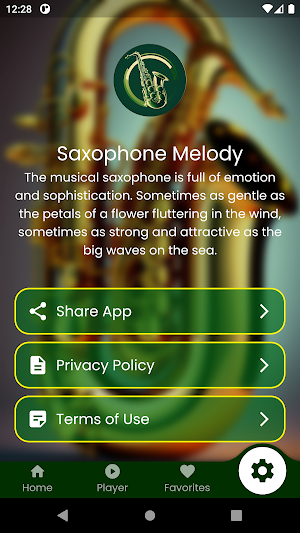 Saxophone Melody Screenshot 3