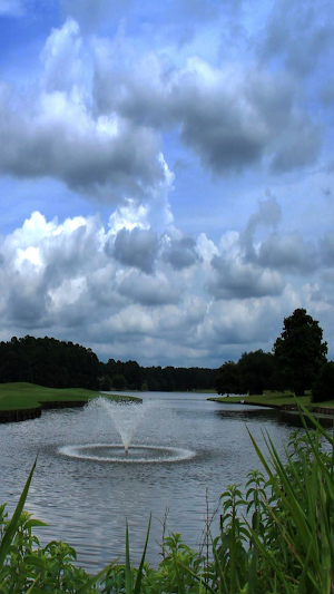 Walnut Creek CC Screenshot 0