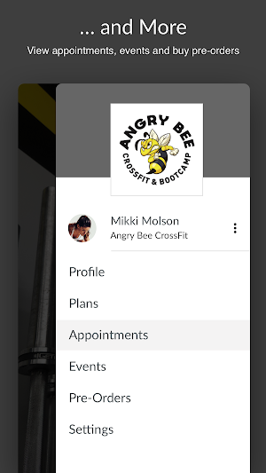 Angry Bee CrossFit Screenshot 3