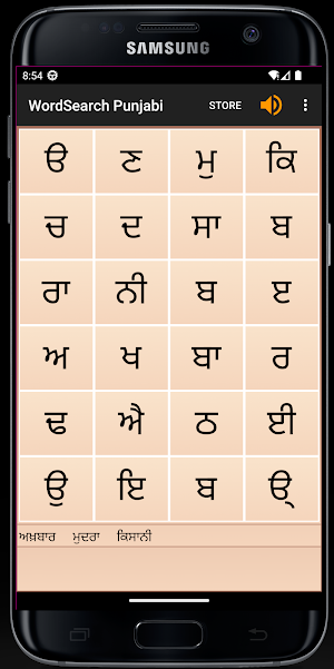 WordSearch - Punjabi Screenshot 1