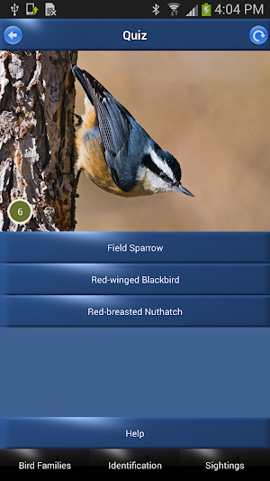 Bird Id North America Screenshot 3