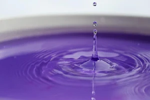Purple wallpapers Screenshot 3
