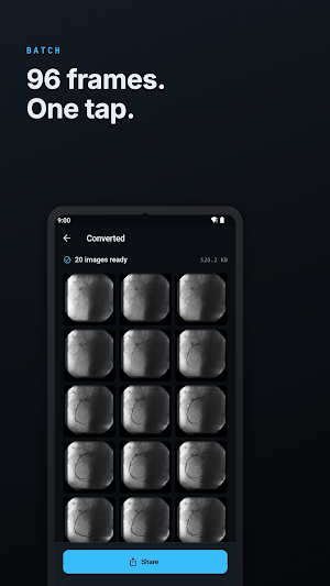 DICOM Converter & Tag Viewer Screenshot 2