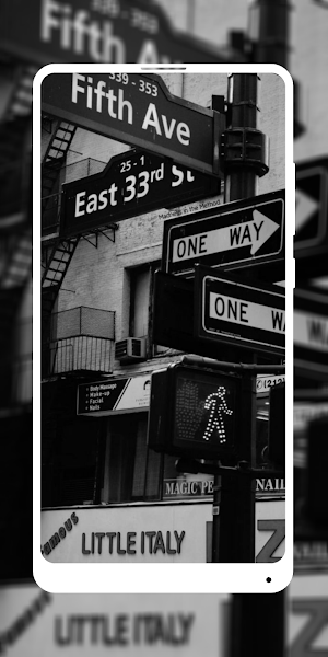 Black White Aesthetic Screenshot 3