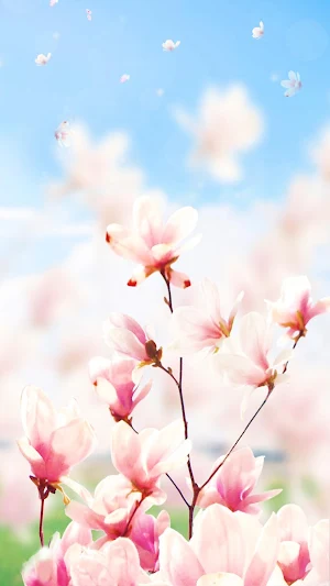 Magnolia Flower Live Wallpaper Screenshot 3