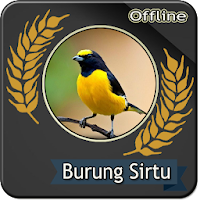 Suara Burung Sirtu Gacor Offli
