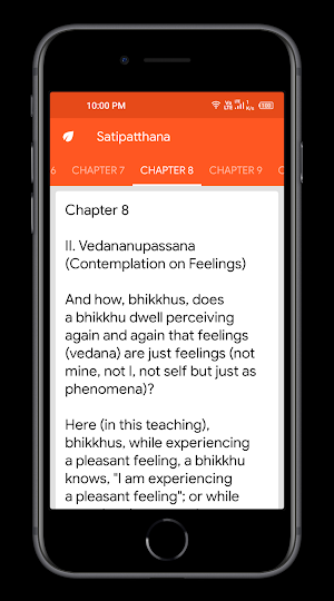 Satipatthana: The Mindfulness Screenshot 3