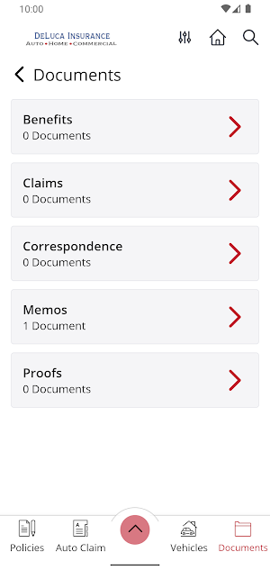 DeLuca Insurance Services Ltd. Screenshot 2