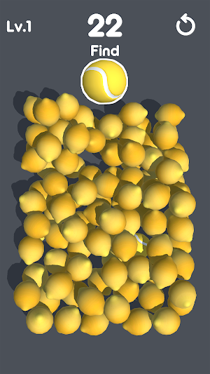 Find The Object! Screenshot 0