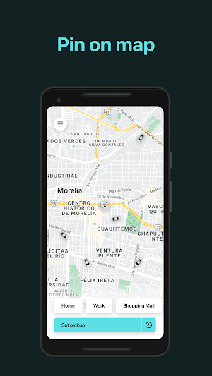 Link City: Taxi, Morelia Screenshot 0