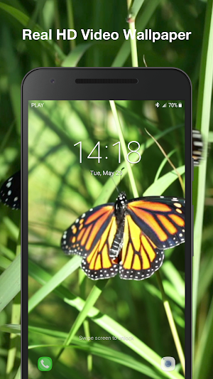 Butterflies Live Wallpaper Screenshot 2