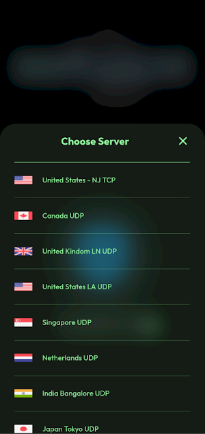 WestVPN Screenshot 1