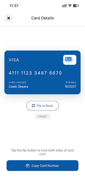 Easy Financial Services Screenshot 1