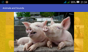 Animals and Sounds Screenshot 3