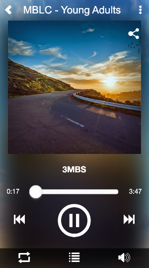 MBLC-YA Screenshot 1