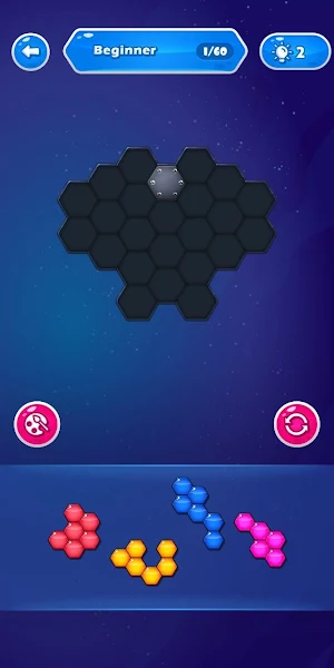 Hexa Block Puzzle 2021 Screenshot 3